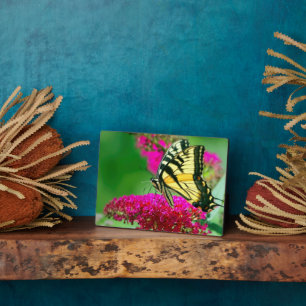 Art Decor Plaque-Butterfly Plaque Fotoplaat