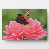 Art Decor Plaque-Butterfly Plaque Fotoplaat (voorkant)