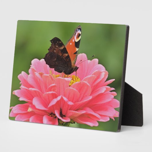 Art Decor Plaque-Butterfly Plaque Fotoplaat (Zijkant)