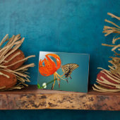 Art Decor Plaque-Butterfly Plaque Fotoplaat (Zijkant)