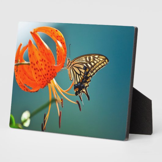 Art Decor Plaque-Butterfly Plaque Fotoplaat (Zijkant)