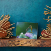 Art Decor Plaque-Butterfly Plaque Fotoplaat (Zijkant)