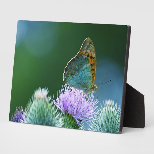 Art Decor Plaque-Butterfly Plaque Fotoplaat (Zijkant)