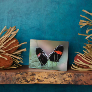 Art Decor Plaque-Butterfly Plaque Fotoplaat
