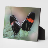 Art Decor Plaque-Butterfly Plaque Fotoplaat (Zijkant)
