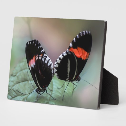 Art Decor Plaque-Butterfly Plaque Fotoplaat (Zijkant)