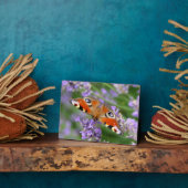 Art Decor Plaque-Butterfly Plaque Fotoplaat (Zijkant)