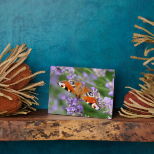 Art Decor Plaque-Butterfly Plaque Fotoplaat