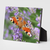 Art Decor Plaque-Butterfly Plaque Fotoplaat (Zijkant)