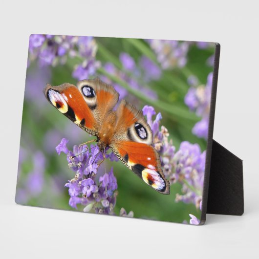 Art Decor Plaque-Butterfly Plaque Fotoplaat (Zijkant)