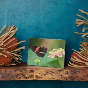 Art Decor Plaque-Butterfly Plaque Fotoplaat