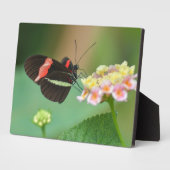 Art Decor Plaque-Butterfly Plaque Fotoplaat (Zijkant)