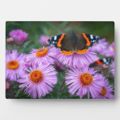Art Decor Plaque-Butterfly Plaque Fotoplaat (voorkant)