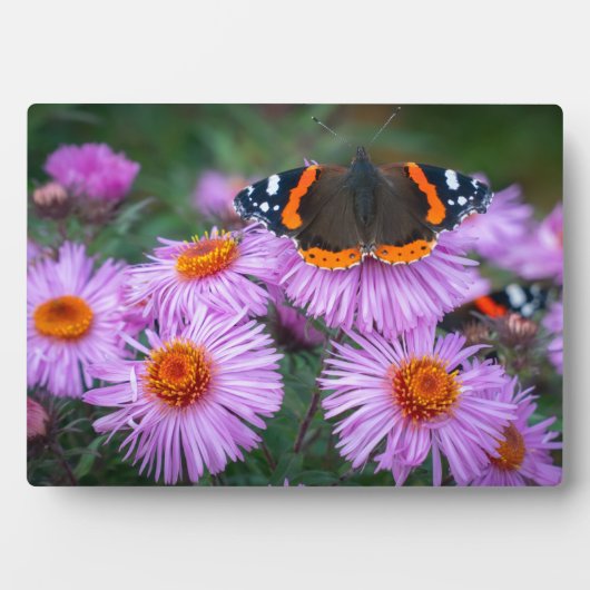 Art Decor Plaque-Butterfly Plaque Fotoplaat (voorkant)