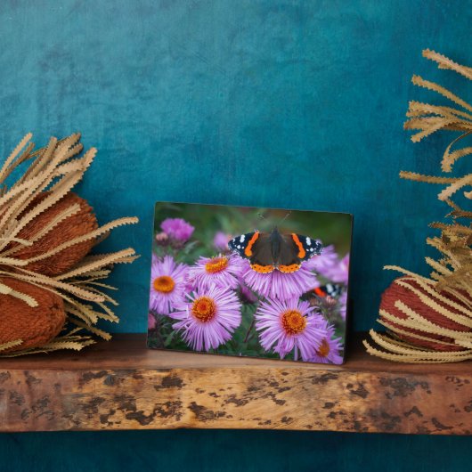 Art Decor Plaque-Butterfly Plaque Fotoplaat (Zijkant)