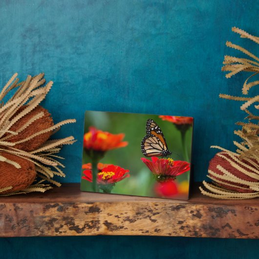 Art Decor Plaque-Butterfly Plaque Fotoplaat (Zijkant)