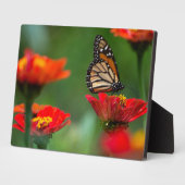 Art Decor Plaque-Butterfly Plaque Fotoplaat (Zijkant)