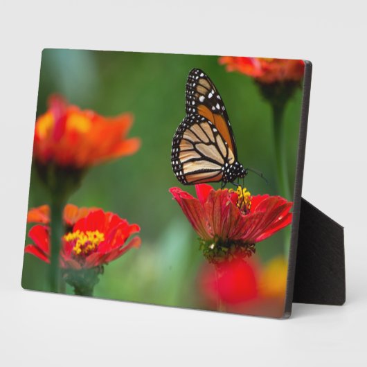Art Decor Plaque-Butterfly Plaque Fotoplaat (Zijkant)