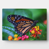 Art Decor Plaque-Butterfly Plaque Fotoplaat (voorkant)