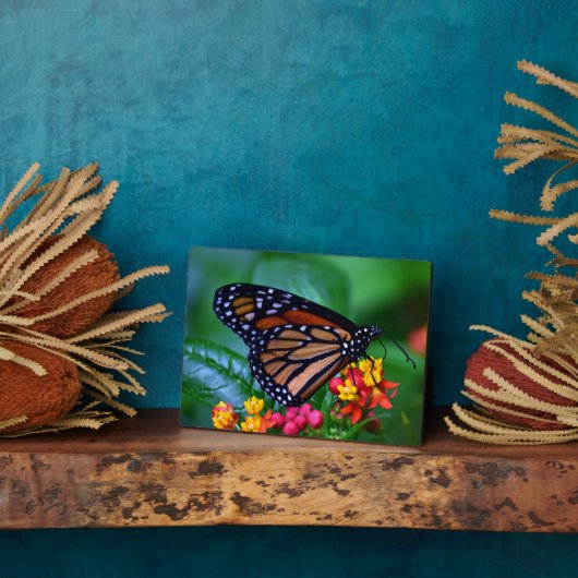 Art Decor Plaque-Butterfly Plaque Fotoplaat (Zijkant)