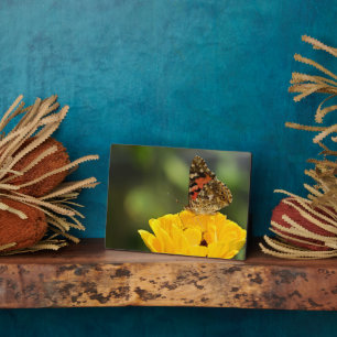 Art Decor Plaque-Butterfly Plaque Fotoplaat