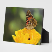 Art Decor Plaque-Butterfly Plaque Fotoplaat (Zijkant)