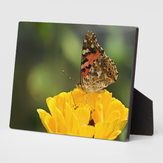 Art Decor Plaque-Butterfly Plaque Fotoplaat (Zijkant)