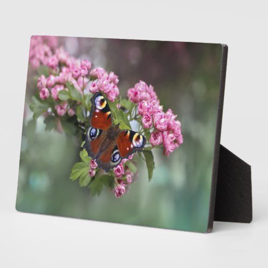 Art Decor Plaque-Butterfly Plaque Fotoplaat (Zijkant)