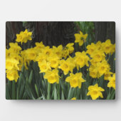 Art Decor Plaque-Daffodils Plaque Fotoplaat (voorkant)