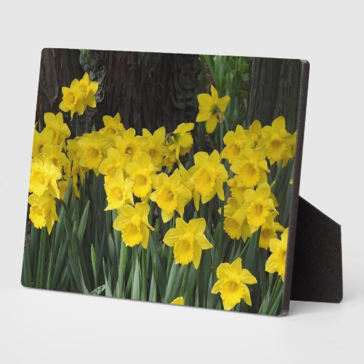 Art Decor Plaque-Daffodils Plaque Fotoplaat (Zijkant)
