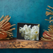 Art Decor Plaque-Daffodils Plaque Fotoplaat (Zijkant)