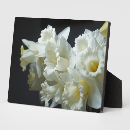 Art Decor Plaque-Daffodils Plaque Fotoplaat (Zijkant)