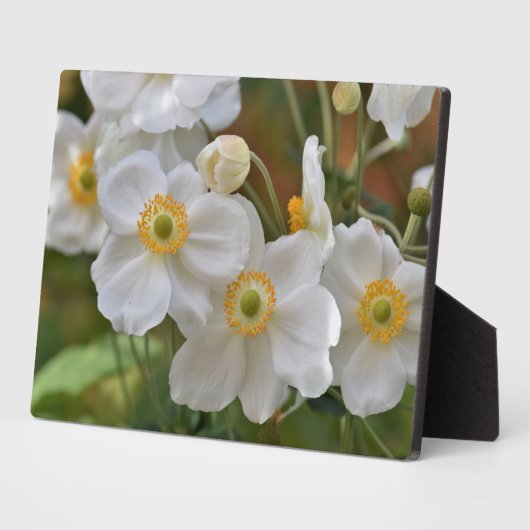 Art Decor Plaque-Flowers Plaque Fotoplaat (Zijkant)