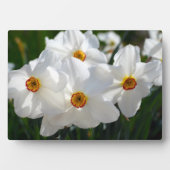 Art Decor Plaque-Flowers Plaque Fotoplaat (voorkant)