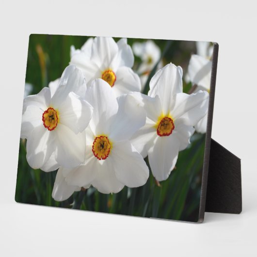 Art Decor Plaque-Flowers Plaque Fotoplaat (Zijkant)
