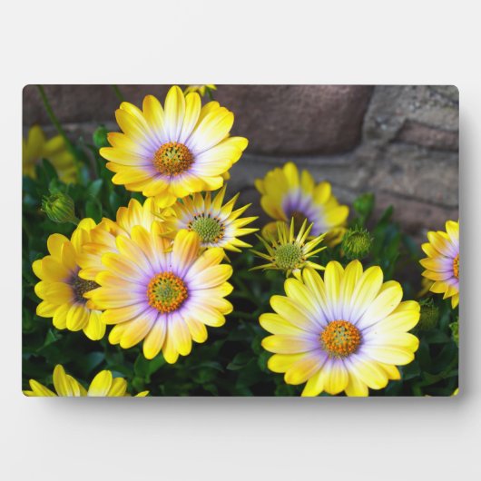 Art Decor Plaque Fotoplaat (voorkant)