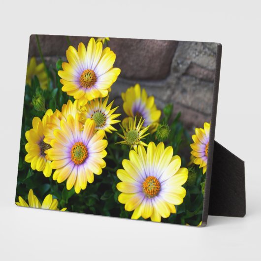 Art Decor Plaque Fotoplaat (Zijkant)