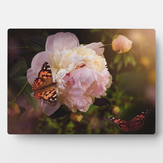 Art Decor Plaque Fotoplaat (voorkant)