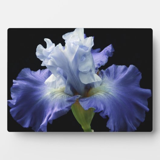 Art Decor Plaque-Iris Plaque Fotoplaat (voorkant)