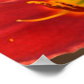 Art door Augle Poster (Hoek)