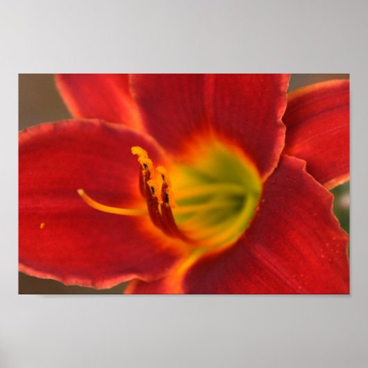 Art door Augle Poster (Voorkant)