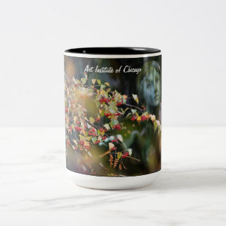 Art Institute of Chicago Mok