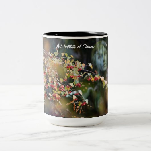 Art Institute of Chicago Mok (Center)