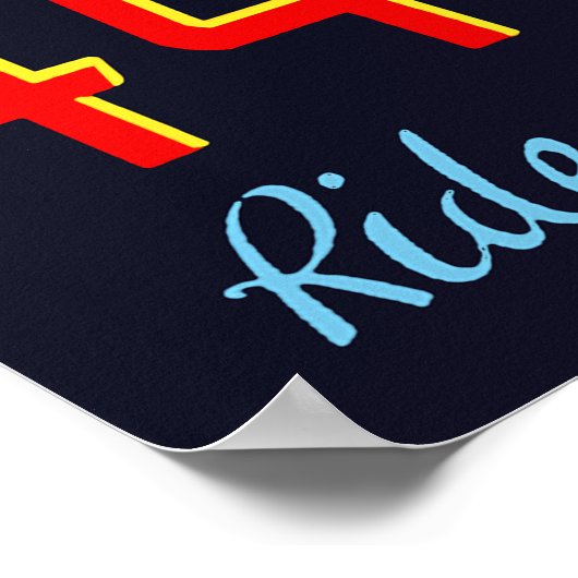 Art Institute of Chicago Poster (Hoek)