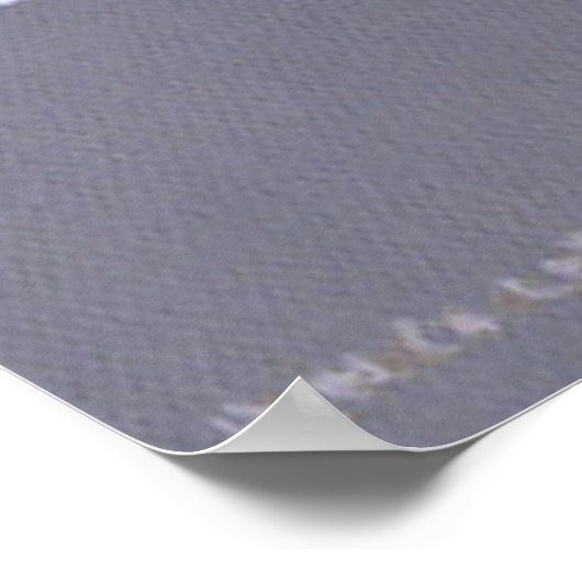 Art Lover Poster (Hoek)