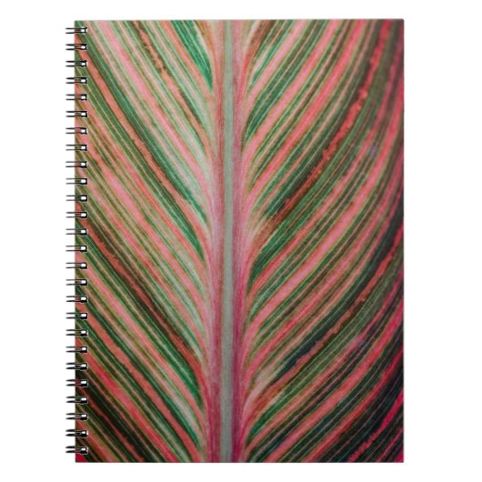 Art Notitieboek (Voorkant)