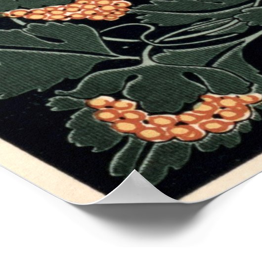 Art Nouveau 1890 en van Will Bradley Poster (Hoek)