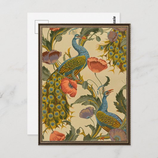  Art Nouveau 1896 Het pauw patroon Briefkaart (Voorkant / Achterkant)