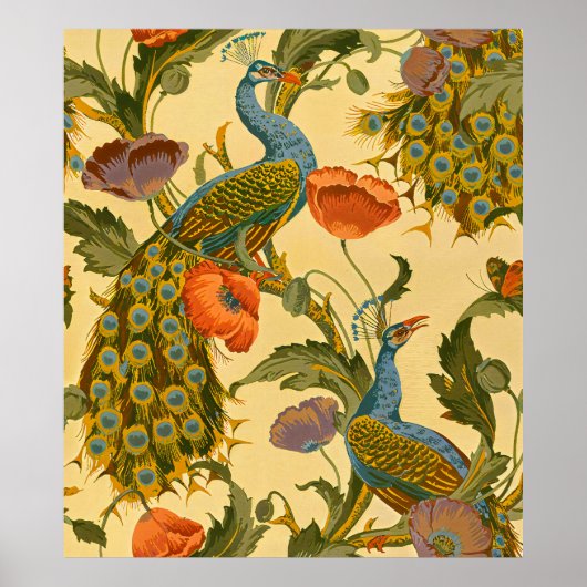  Art Nouveau 1896 Het pauw patroon Poster (Voorkant)