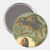 Art nouveau Anton Seder uil bruin groen geel Magneet (Voorkant / Achterkant)